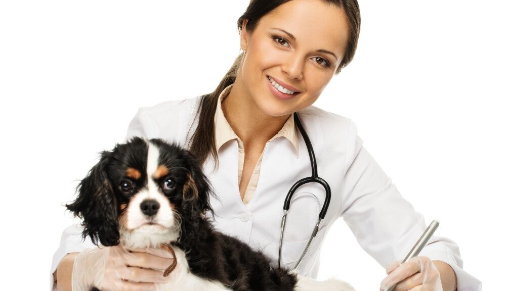 female vet with a cute dog
